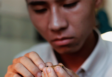 lau dầu đồng hồ