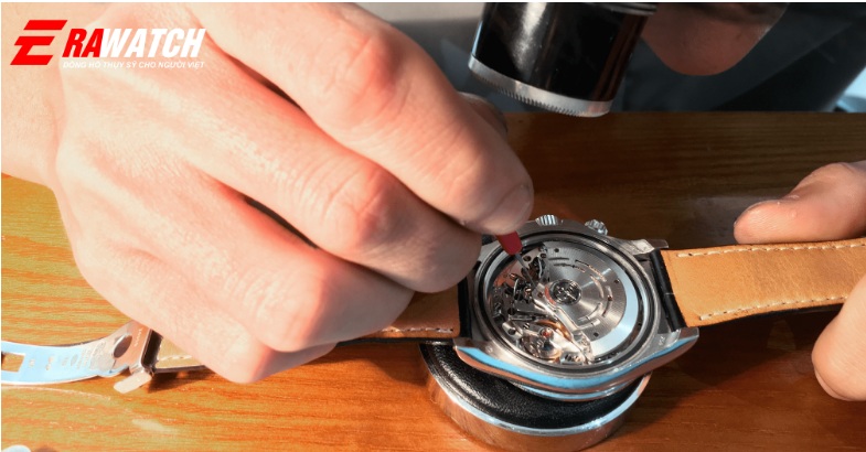 lau dau dong ho rolex