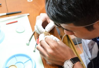 lau dầu bảo dưỡng đồng hồ