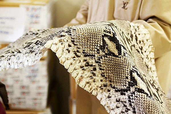 Thay dây cá sấu nhập khẩu