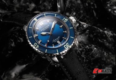 trung-tam-bao-hanh-dong-ho-reef-tiger