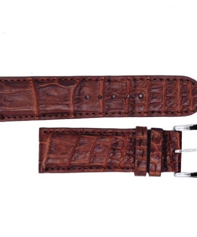 Dây da đồng hồ AL - BR221